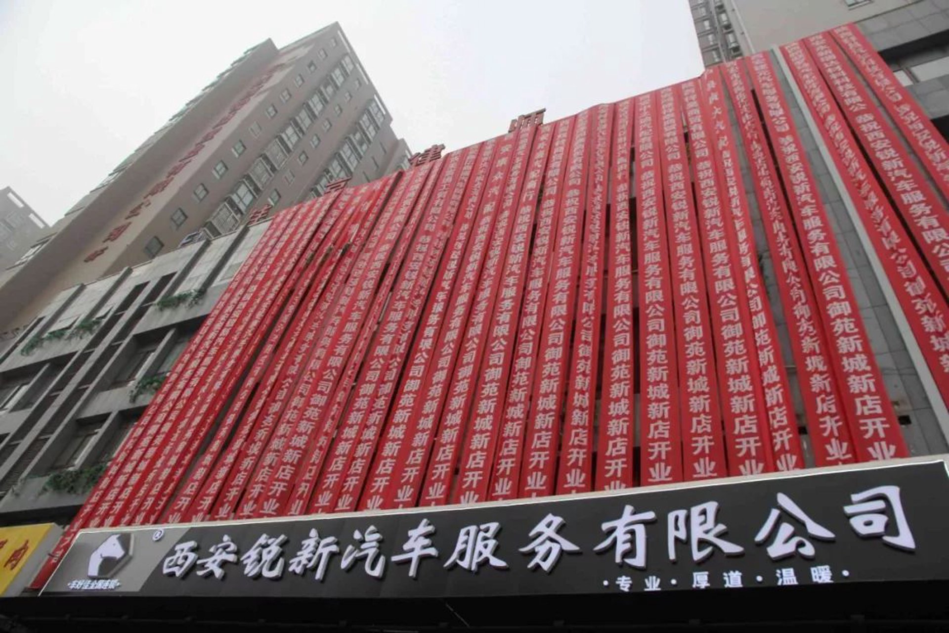 辰殿科技