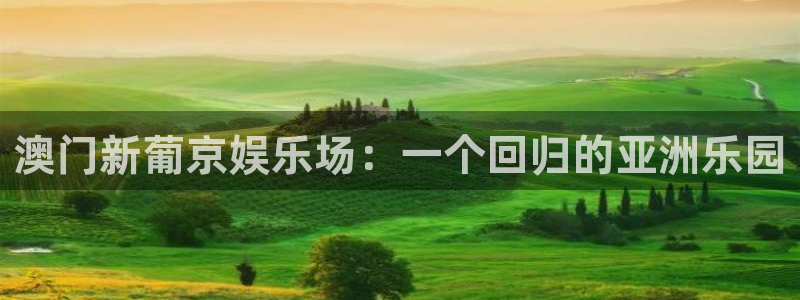 永信贵宾会备用网址