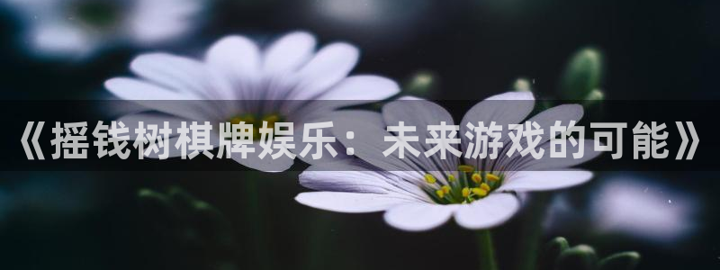 永信贵宾会官网