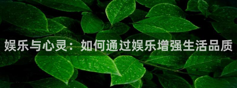 永信贵宾会