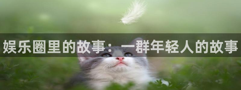 永信贵宾会官网217