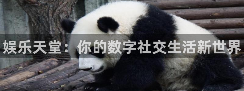 永信贵宾会